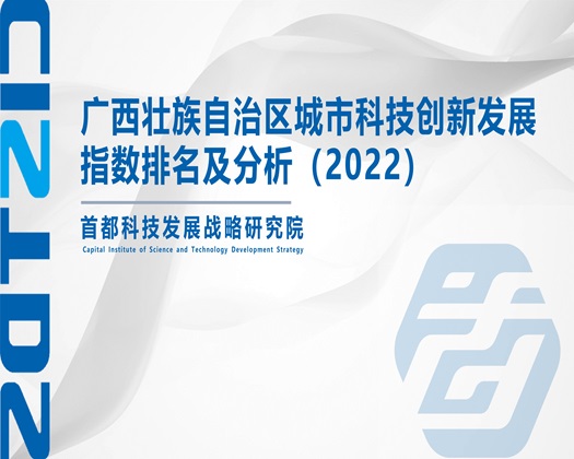 亚洲综合图片一区【成果发布】广西壮族自治区城市科技创新发展指数排名及分析（2022）